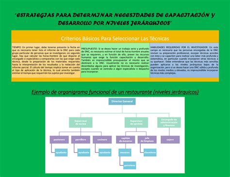 Solution Estrategias Para Determinar Necesidades De Capacitaci N Y