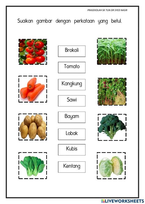 Mengenal Nama Nama Sayur Macam Macam Sayur Nama Nama Sayur Bahasa | The ...