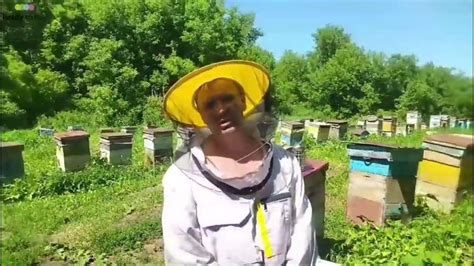 Качка меда 24г, оформление предзаказов в самом разгаре, магазин Медовая ...