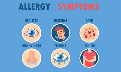 Beat Seasonal Allergies Tips For Relief And Well Being