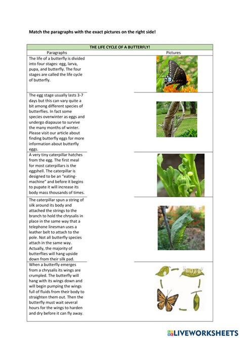 Explanation Text 1 Worksheet Live Worksheets