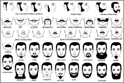 Names Of Facial Hair Styles You Need To Know Facial Hair Styles 1