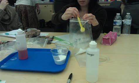 Michelle's Science Blog: Chemical Reactions! 