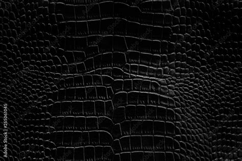 Black Crocodile Leather Texture Background Ready Used Us Backdrop Or