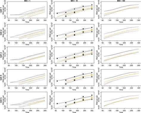 Experimentally Guided Models Reveal Replication Principles That Shape