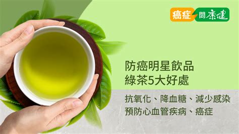 兒茶素有5大好處？綠茶中兒茶素最多？熱泡冷泡有差？ 癌症問康健