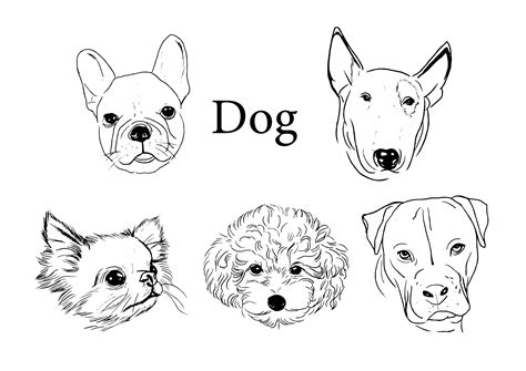 Dog Set Line Art Black and White Clipart Graphic by chu.mono.pho