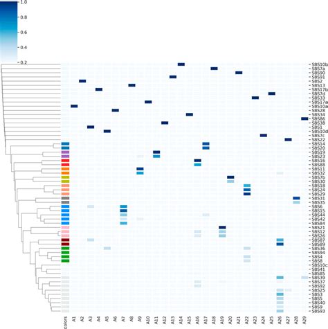 Frontiers Unravelling The Instability Of Mutational Signatures