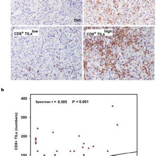 Evaluation Of Pd L Expression Cd Tils And Their Associations In