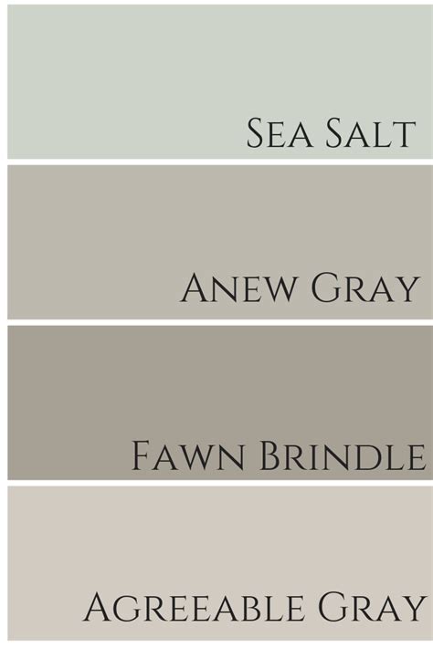 Agreeable Gray Undertones Coordinating Colors Setting For, 55% OFF