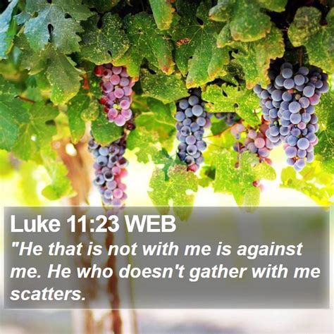 Luke 1123 Web He That Is Not With Me Is Against Me He Who