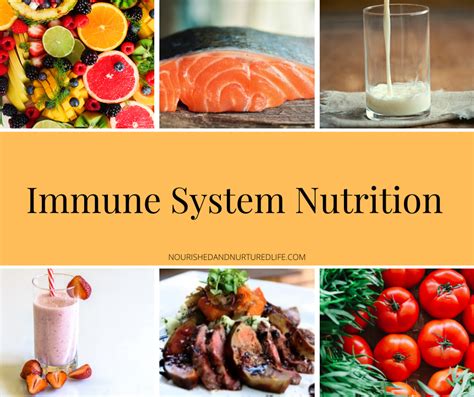 Nutrition For Boosting Your Immune System