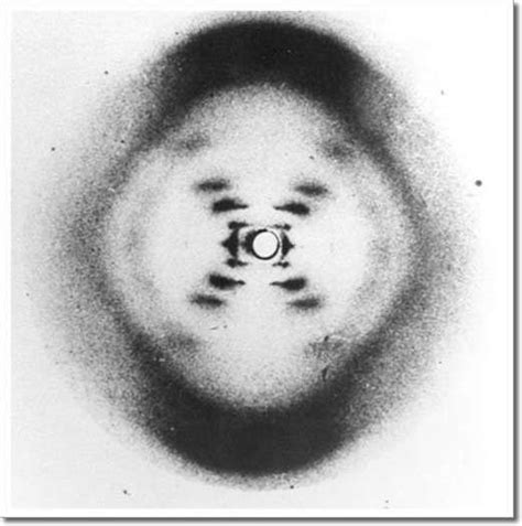 La double hélice de l ADN a t elle vraiment été identifiée par Watson