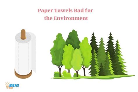 Are Paper Towels Bad For The Environment