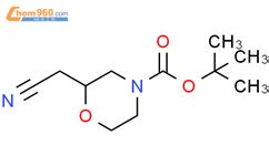 2 Cyanomethyl Morpholine 4 Carboxylic Acid Tert Butyl Ester 259180 69 3