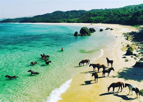 Pantai Nihiwatu Sumba Salah Satu Pantai Terbaik Di Dunia Teropong Media