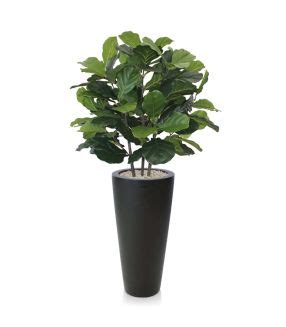 Ficus Exotica Plante Artificielle Deluxe 180 Cm Vert Maxifleur