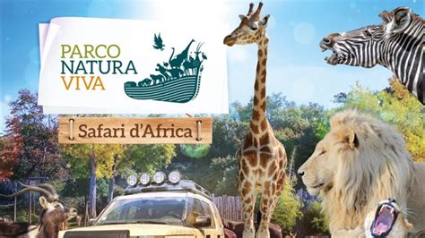 Parco Natura Viva Bussolengo Vr Youtube