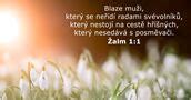 Archiv Z Biblick Ver Dne Dailyverses Net