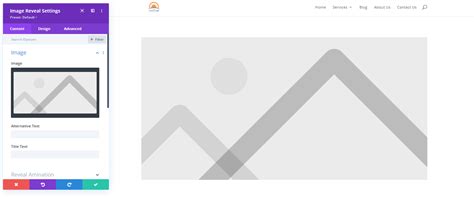 Image Reveal Module Overview DiviFlash Docs
