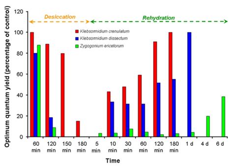 The Effect Of Desiccation And Rehydration On The Optimum Quantum Yield