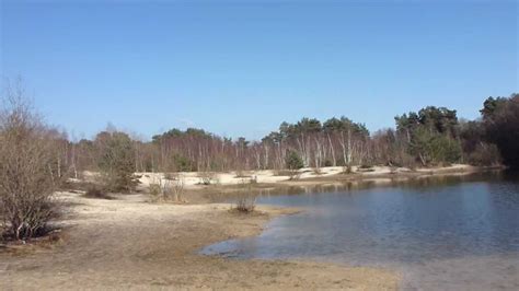 Midhurst Common Woodland Quarry Area Skógarganga Vatnið