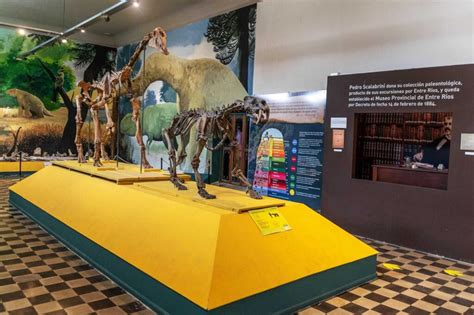 Museo de Ciencias Naturales en Paraná Entre Ríos Descubre la