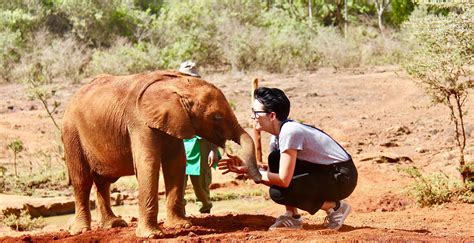 Stories | Want to Hug a Baby Elephant?