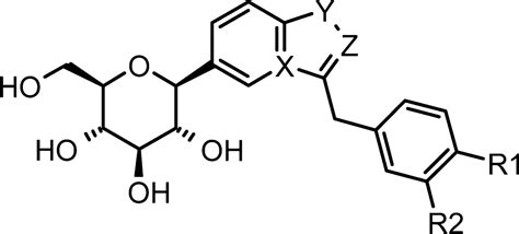 Synthesis and SAR of Benzisothiazole and Indolizine β d