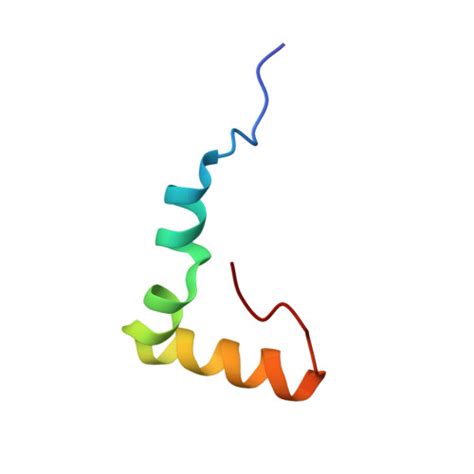 Rcsb Pdb 7as8 Bacillus Subtilis Ribosome Quality Control Complex