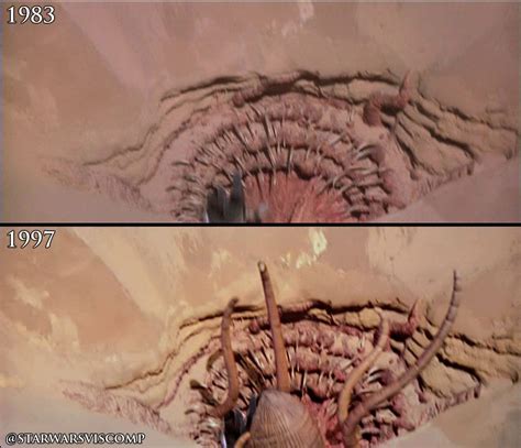 Sarlacc Pit Anatomy