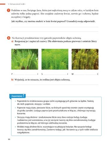 Page 5 Puls życia klasa 5 semestr 2 Paprotniki