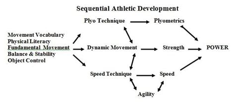 Practical Application For Long Term Athletic Development