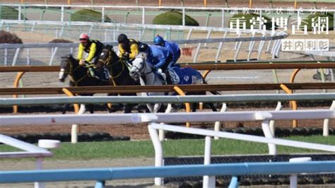 【阪神大賞典 2024】最終追い切りを動画で解説井内利彰 競馬動画 Netkeiba