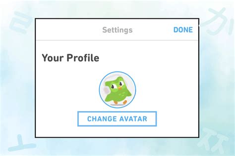 How To Change Profile Picture In Duolingo TechCult