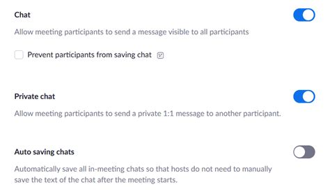 Using Zoom Chat How To Chat In A Zoom Meeting Ionos