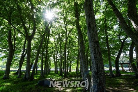 남원시 생태녹색관광 문체부 공모사업 선정 뉴스로