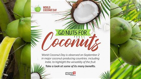 World Coconut Day A Look At Some Benefits Of Coconuts