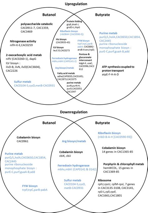 Venn Diagrams Of Selected Genes And Pathways Which Were Differentially