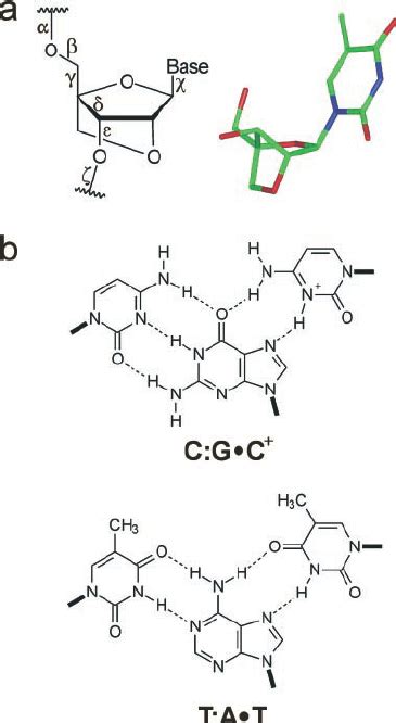 Locked Nucleic Acid And The Base Triplets In Triple Helical Nucleic