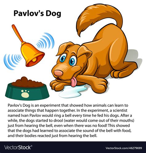 Pavlovs dog experiment Royalty Free Vector Image