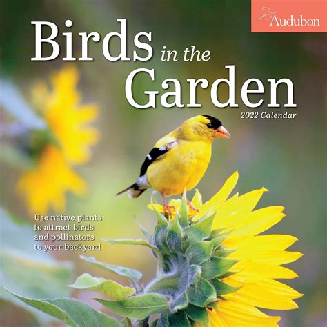 Audubon Birders Engagement Calendar 2018 4