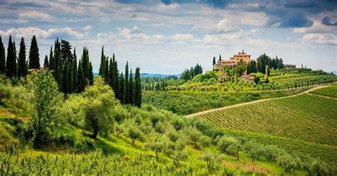 Chianti Classico wine tour | musement