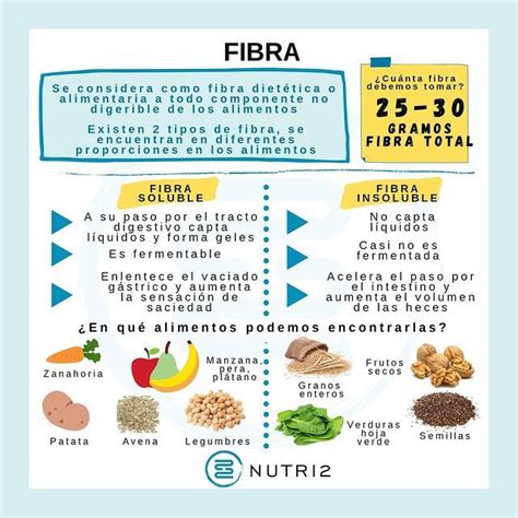 Fibra soluble e insoluble qué es nutri2 Quick