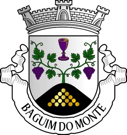 Her Ldica Da Freguesia De Baguim Do Monte Munic Pio De Gondomar