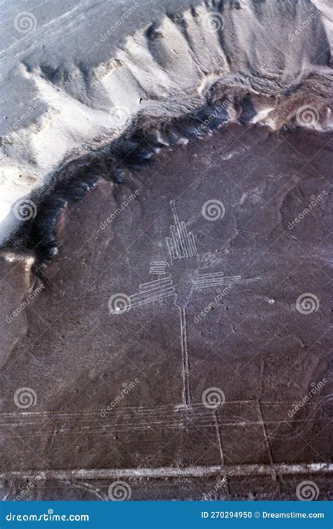 Nazca Lines Hummingbird in Peru Stock Photo - Image of nazca, viux ...