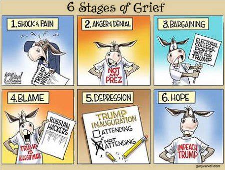 Six Stages Of Grief - Reflections From a Murky Pond