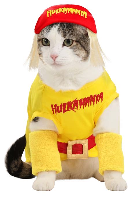 Hulk Hogan Pet Dog Costume | Sports Costumes for Dogs