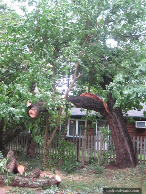 Photos: Hurricane Irene Damage in Long Island | Bicultural Mama®