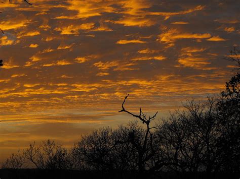 Wispy Sunset Clouds Photograph by Rebecca Cearley - Pixels